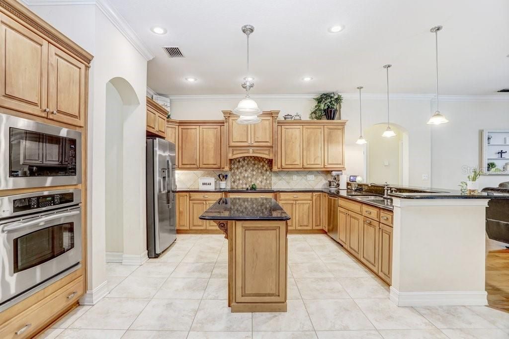 3418 Paso Fino Lane, Dover, FL 33527 Photo