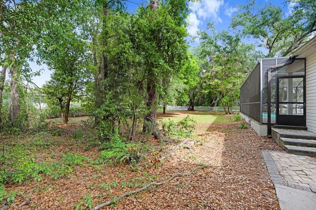 3418 Paso Fino Lane, Dover, FL 33527 Photo