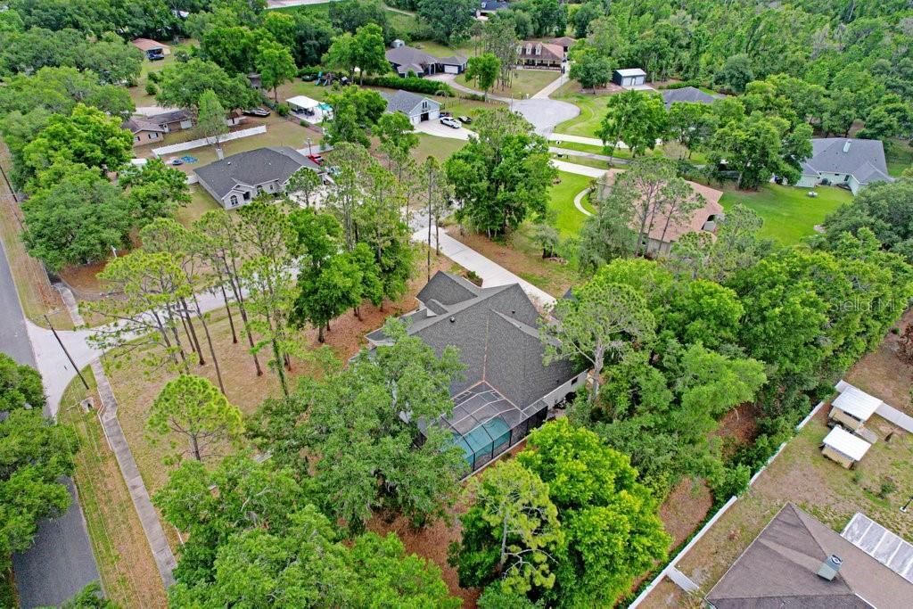 3418 Paso Fino Lane, Dover, FL 33527 Photo