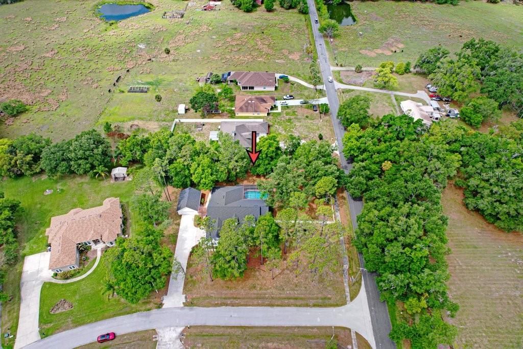 3418 Paso Fino Lane, Dover, FL 33527 Photo