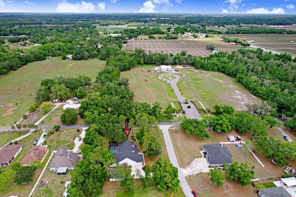 3418 Paso Fino Lane, Dover, FL 33527 Photo