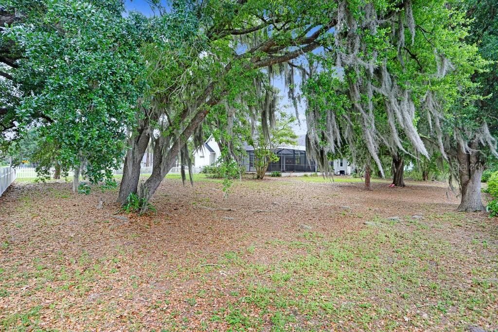 3418 Paso Fino Lane, Dover, FL 33527 Photo