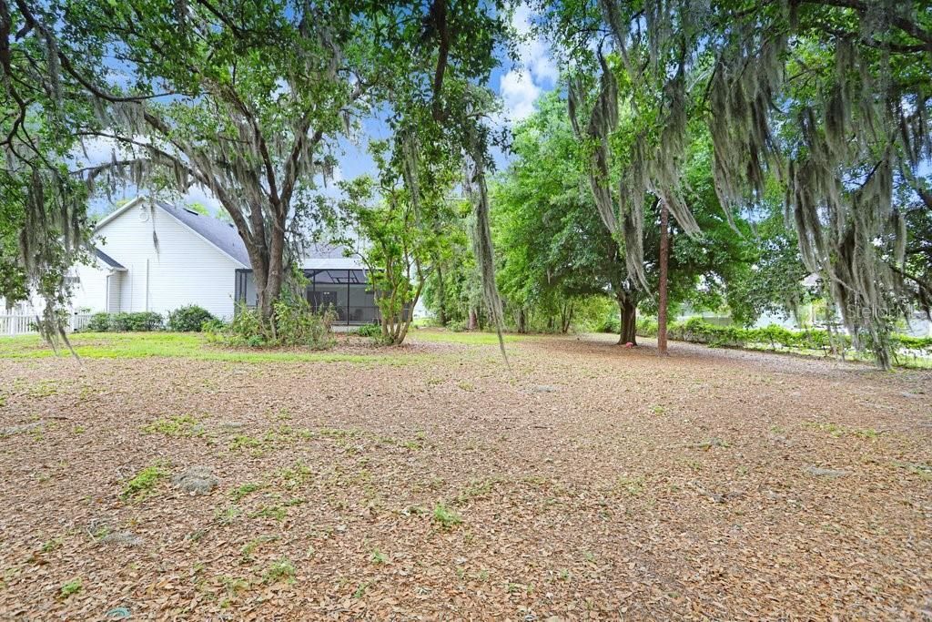 3418 Paso Fino Lane, Dover, FL 33527 Photo