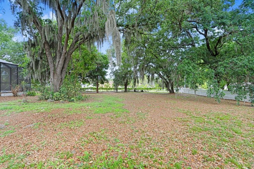 3418 Paso Fino Lane, Dover, FL 33527 Photo