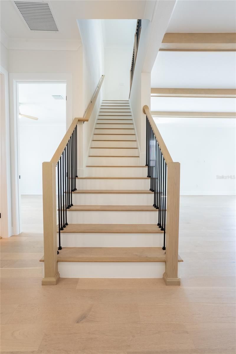 1851 Mississippi Avenue Ne, Saint Petersburg, FL 33703 Photo