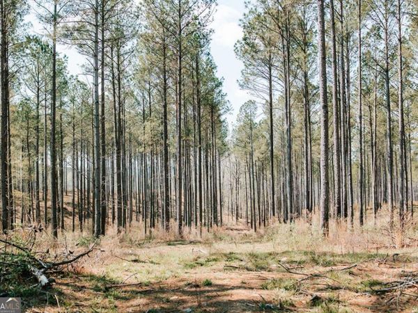 0 Washington Road, Lexington, GA 30648