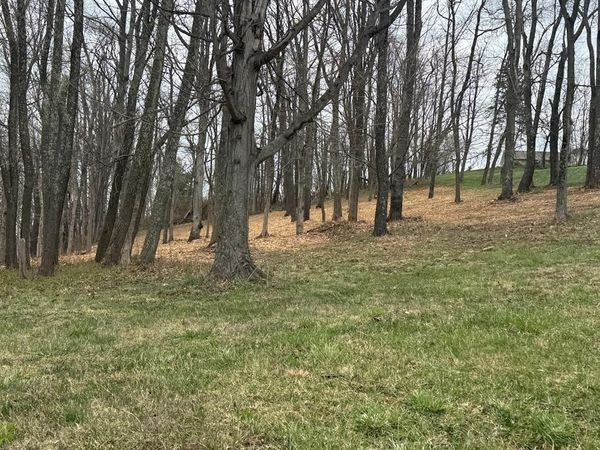 TBD GLEN DALE HEIGHTS RD, MARSHALL MEADOWS, Glen Dale, WV 26038