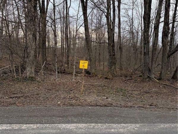 00 Skinner Road , Richfield Springs, NY 13439