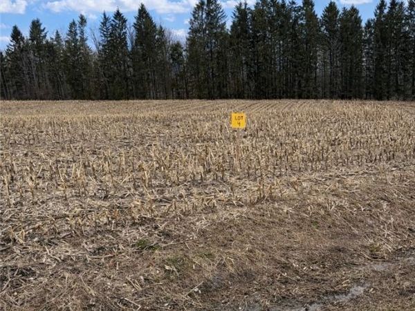 00 Skinner Road , Richfield Springs, NY 13439