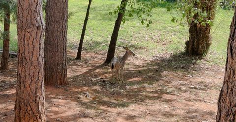 16173 Norlene Way, Grass Valley, CA 95949 Photo