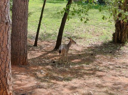 16173 Norlene Way, Grass Valley, CA 95949 Photo