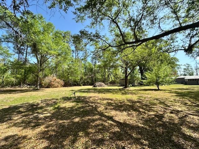 16437 NW County Road 12, Bristol, FL 32321 Photo