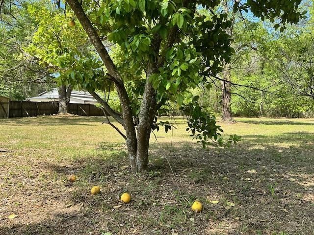 16437 NW County Road 12, Bristol, FL 32321 Photo