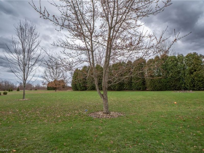 3556 Blake Road , Seville, OH 44273 Photo 43