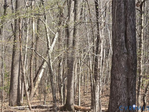 0 Equestrian Trail Road , New Canton, VA 23123