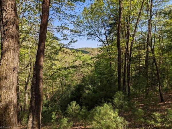 TBD Sutters Ridge Road , Unit Lot 94, McGrady, NC 28649