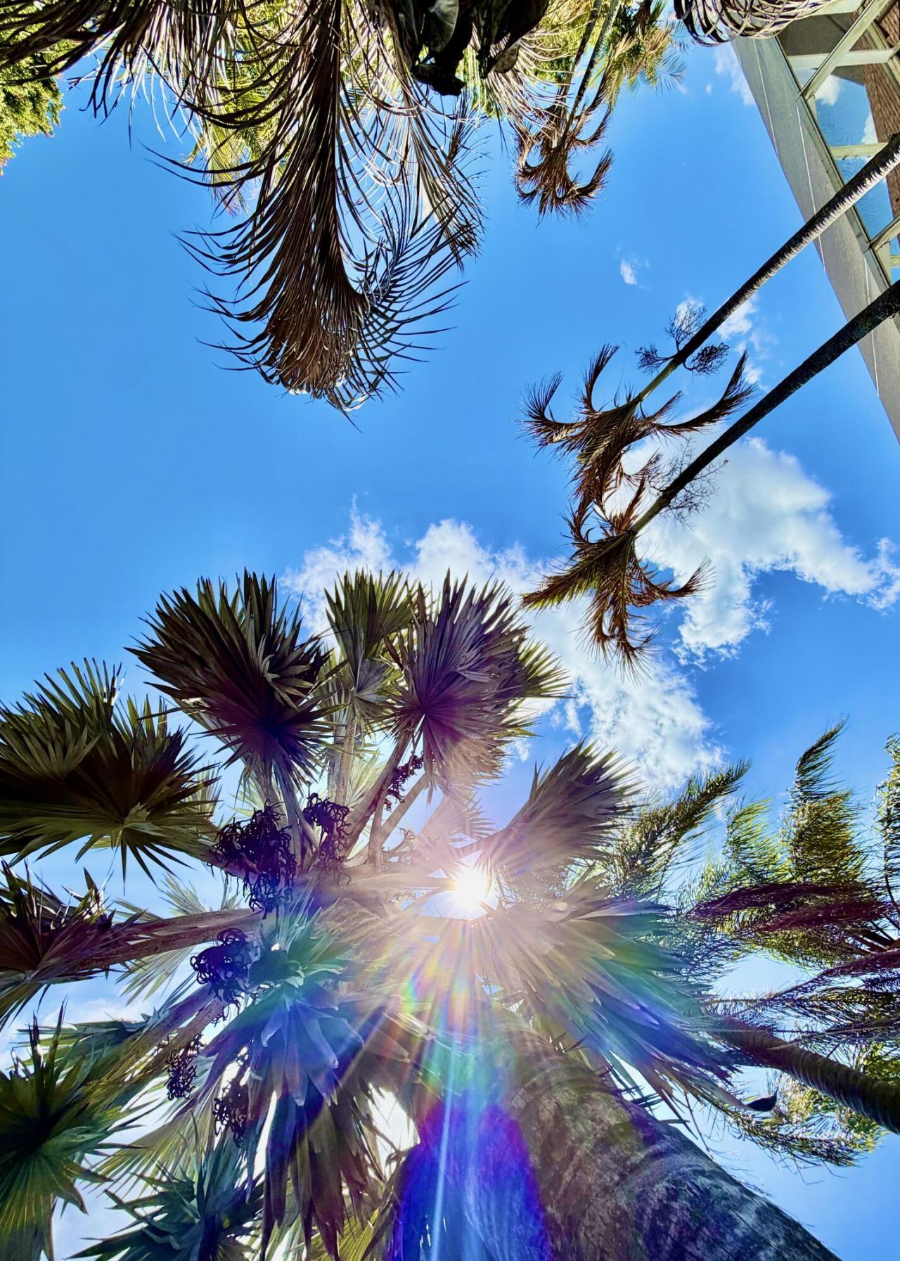 751 SE Starflower Avenue, Port Saint Lucie, FL 34983 Photo