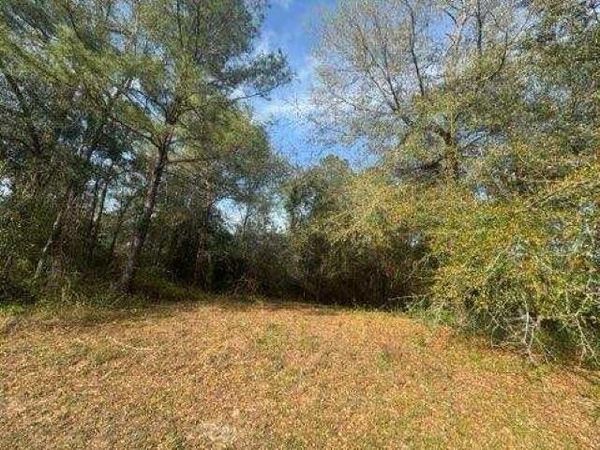 0 Delta Woods Drive , Bay Minette, AL 36507