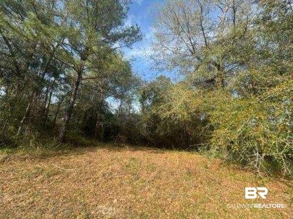 0 Delta Woods Drive, Bay Minette, AL 36507