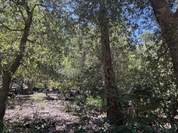 0 Middleridge Drive, Idyllwild, CA 92549