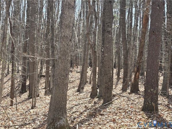 00 Equestrian Trail Road , New Canton, VA 23123