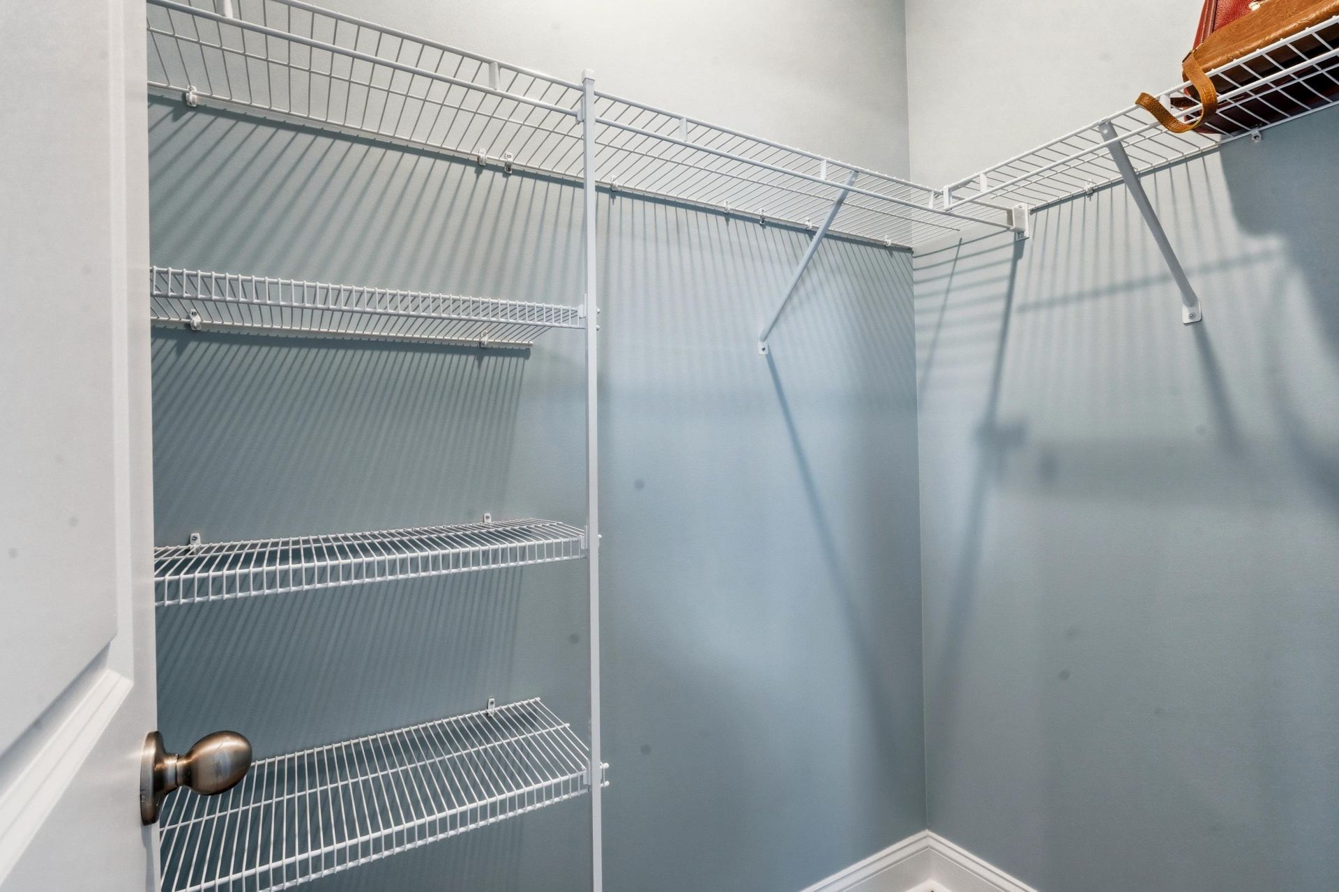 370 Rose Mallow Dr. Photo 19