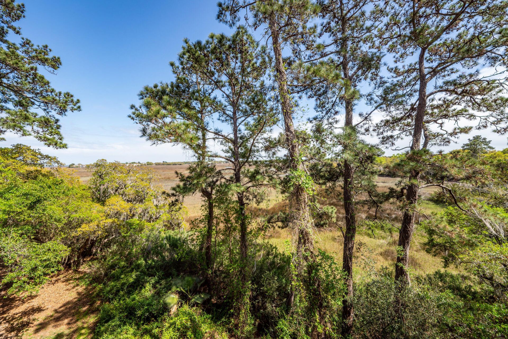 700 Daniel Ellis Drive Photo 22