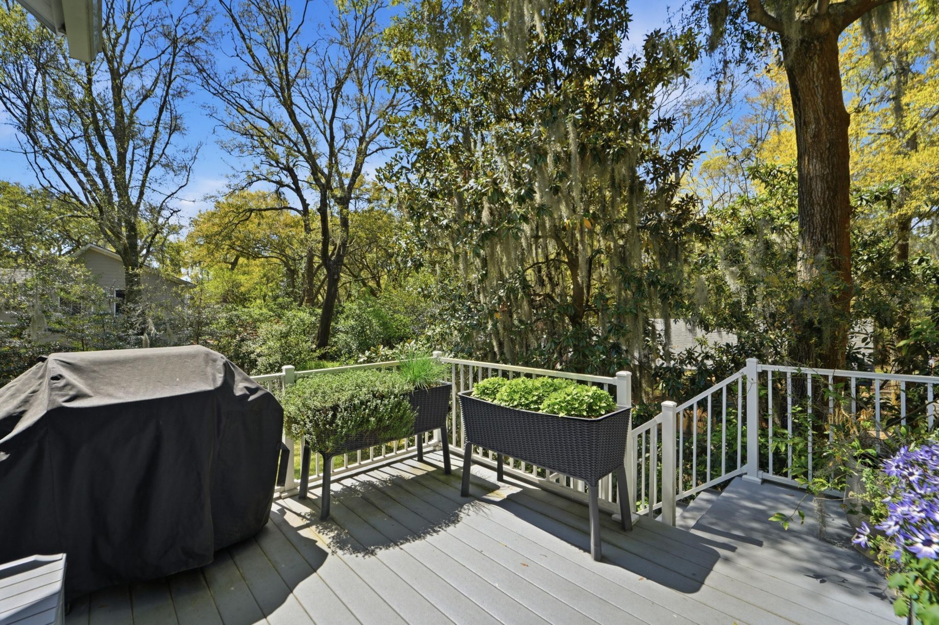 535 Wampler Drive Photo 22