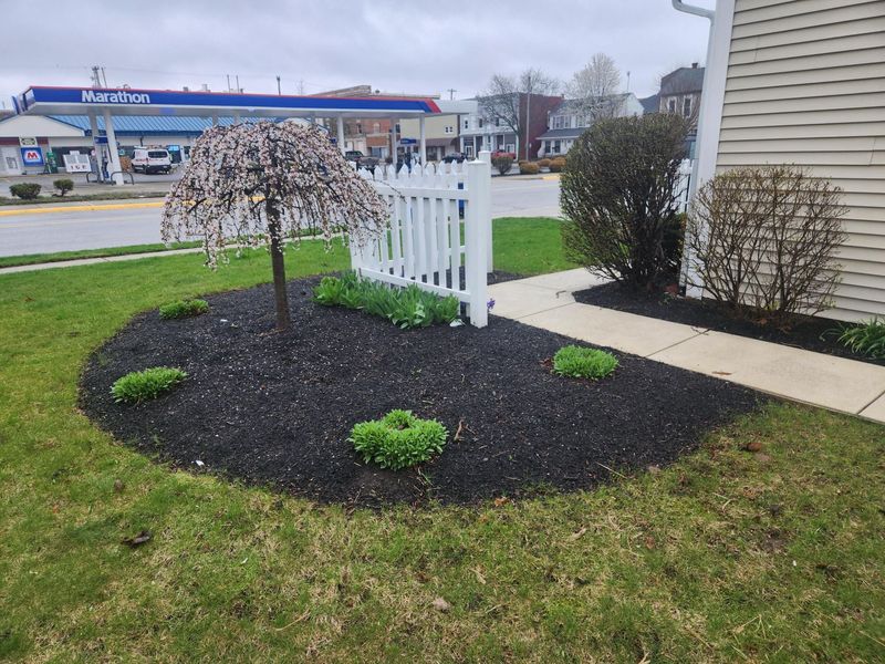 205 W South Street, Saint Marys, OH 45885 Photo 34