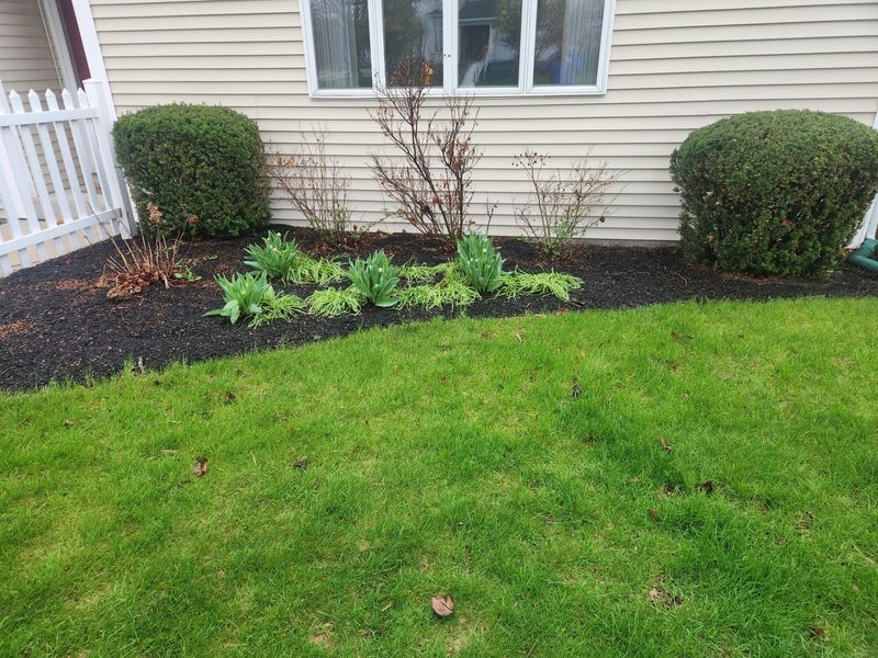 205 W South Street, Saint Marys, OH 45885 Photo 38