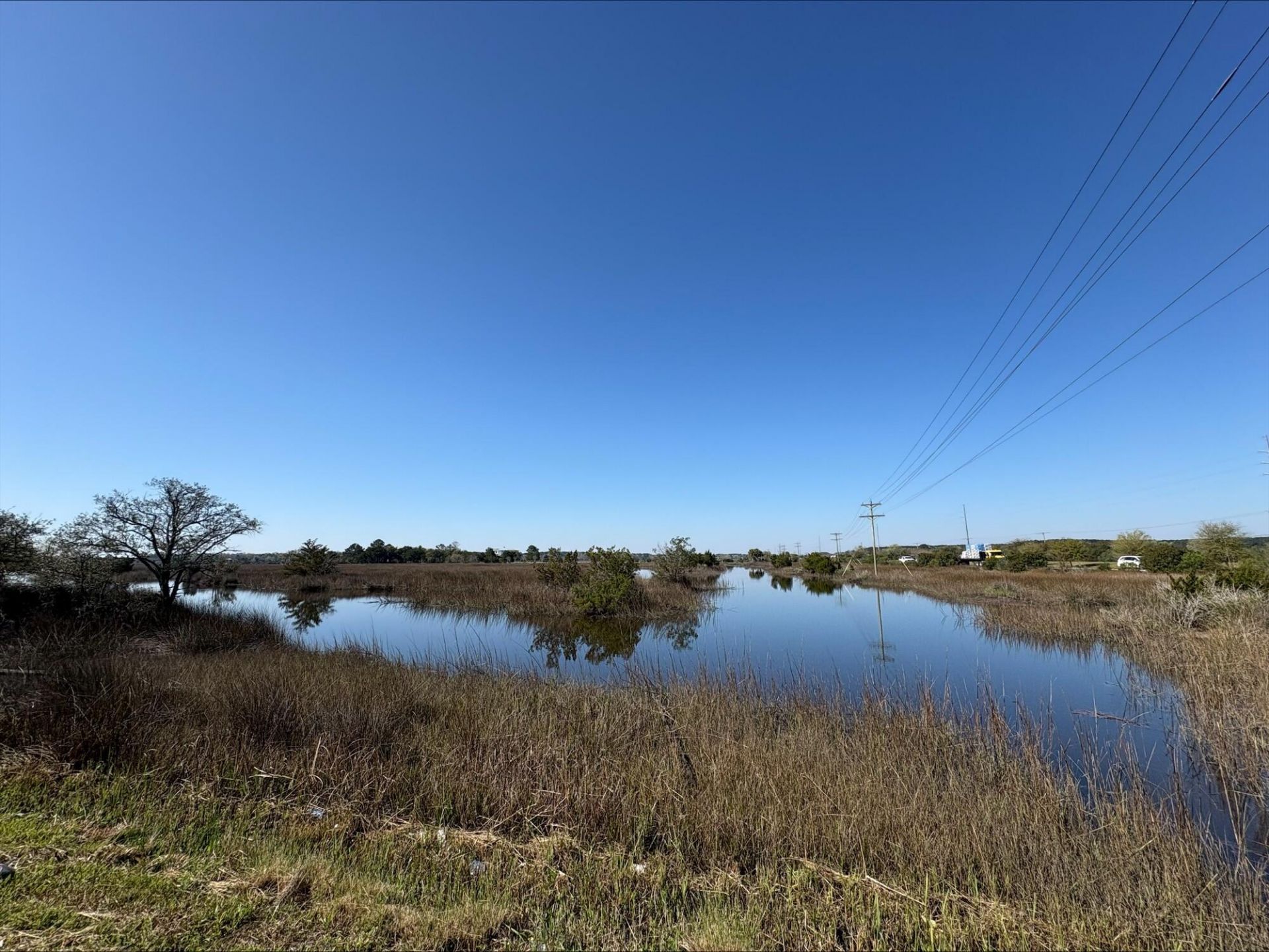 3937 Savannah Highway  Photo 5