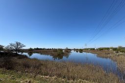 3937 Savannah Highway photo 4
