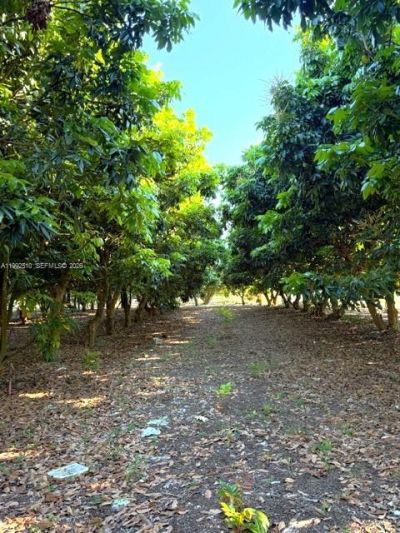 25201 SW 198th Ave , Homestead, FL 33031 Photo