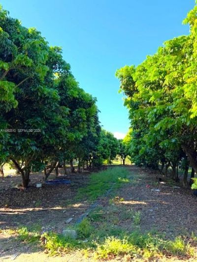 25201 SW 198th Ave , Homestead, FL 33031 Photo