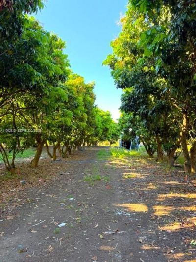 25201 SW 198th Ave , Homestead, FL 33031 Photo