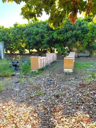 25201 SW 198th Ave , Homestead, FL 33031 Photo