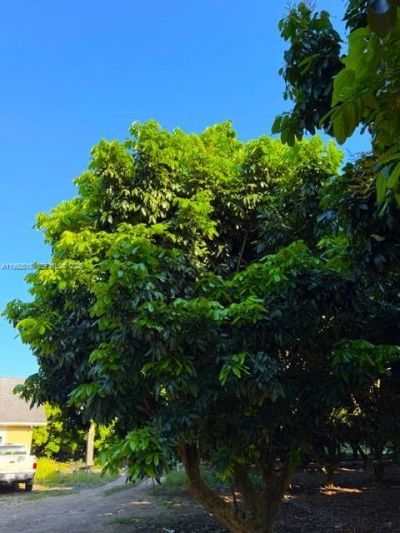 25201 SW 198th Ave , Homestead, FL 33031 Photo