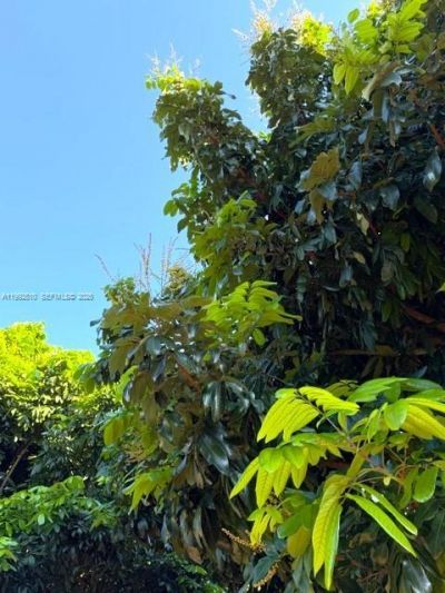 25201 SW 198th Ave , Homestead, FL 33031 Photo