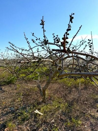 25201 SW 198th Ave , Homestead, FL 33031 Photo