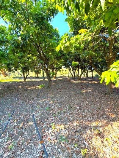 25201 SW 198th Ave, Homestead, FL 33031 Photo