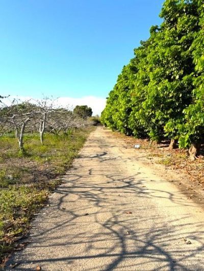 25201 SW 198th Ave , Homestead, FL 33031 Photo