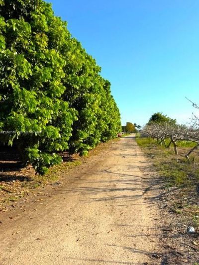 25201 SW 198th Ave , Homestead, FL 33031 Photo