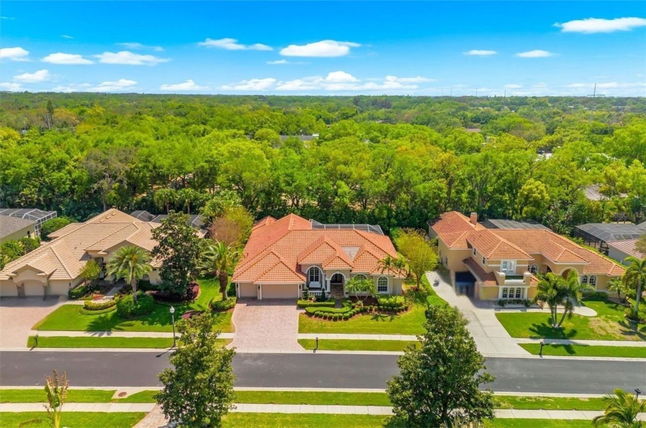 1560 Canopy Oaks Boulevard, Palm Harbor, FL 34683 Photo