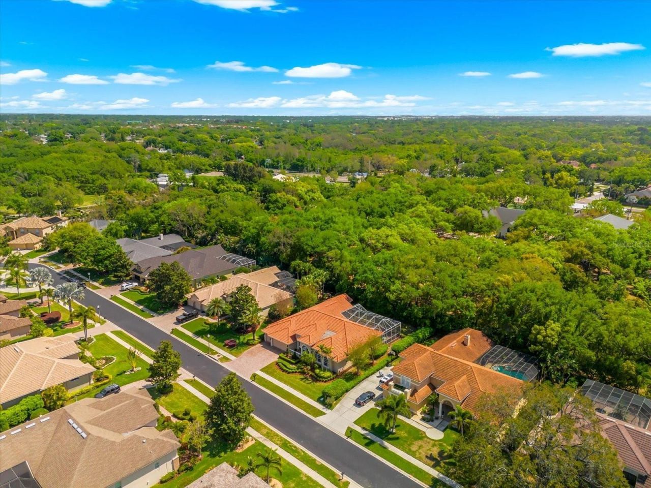 1560 Canopy Oaks Boulevard, Palm Harbor, FL 34683 Photo