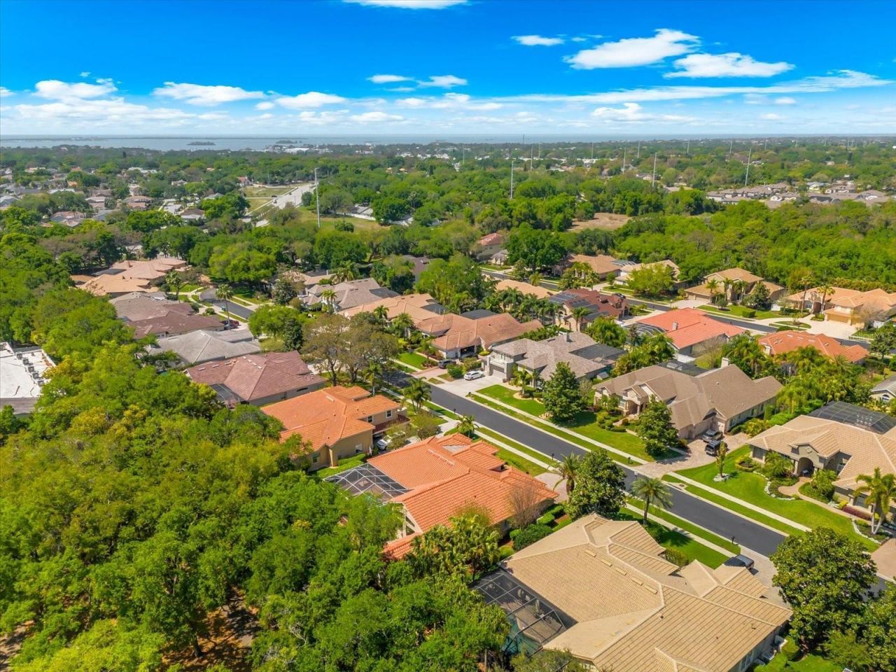 1560 Canopy Oaks Boulevard, Palm Harbor, FL 34683 Photo
