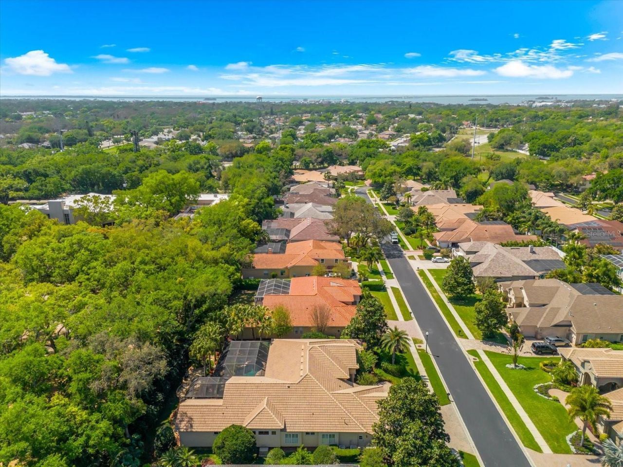 1560 Canopy Oaks Boulevard, Palm Harbor, FL 34683 Photo