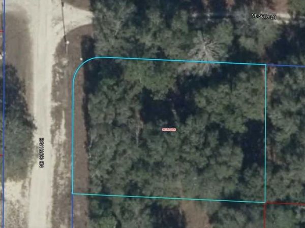 06721-010-00 NE 139TH AVENUE , WILLISTON, FL 32696