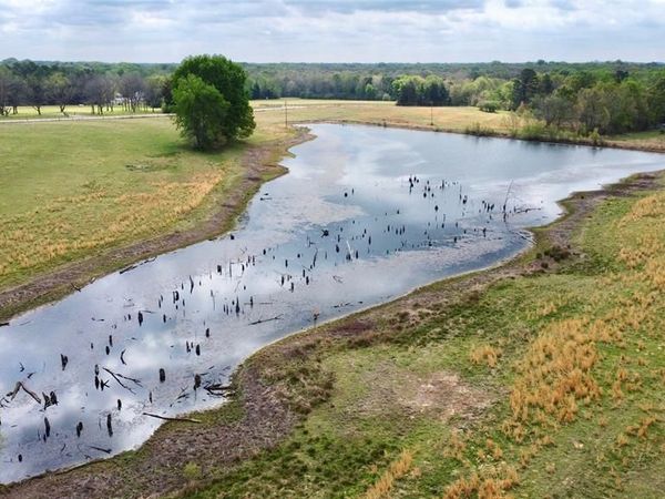 TBD FM 1001 , Cookville, TX 75558