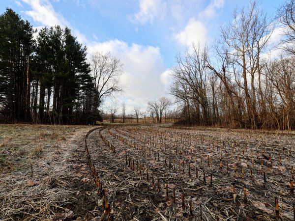 VL W Glendora Road, Buchanan, MI 49107