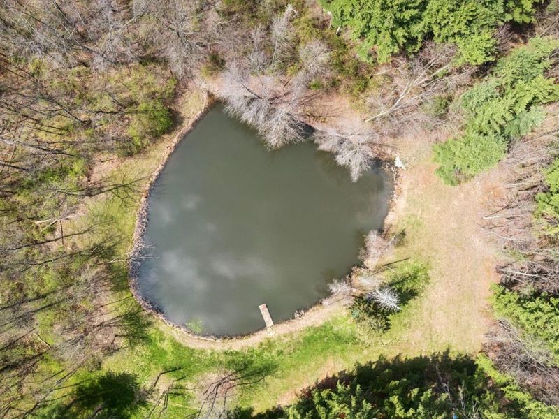 3911 Campbell Road, Fayetteville, OH 45118 Photo 53